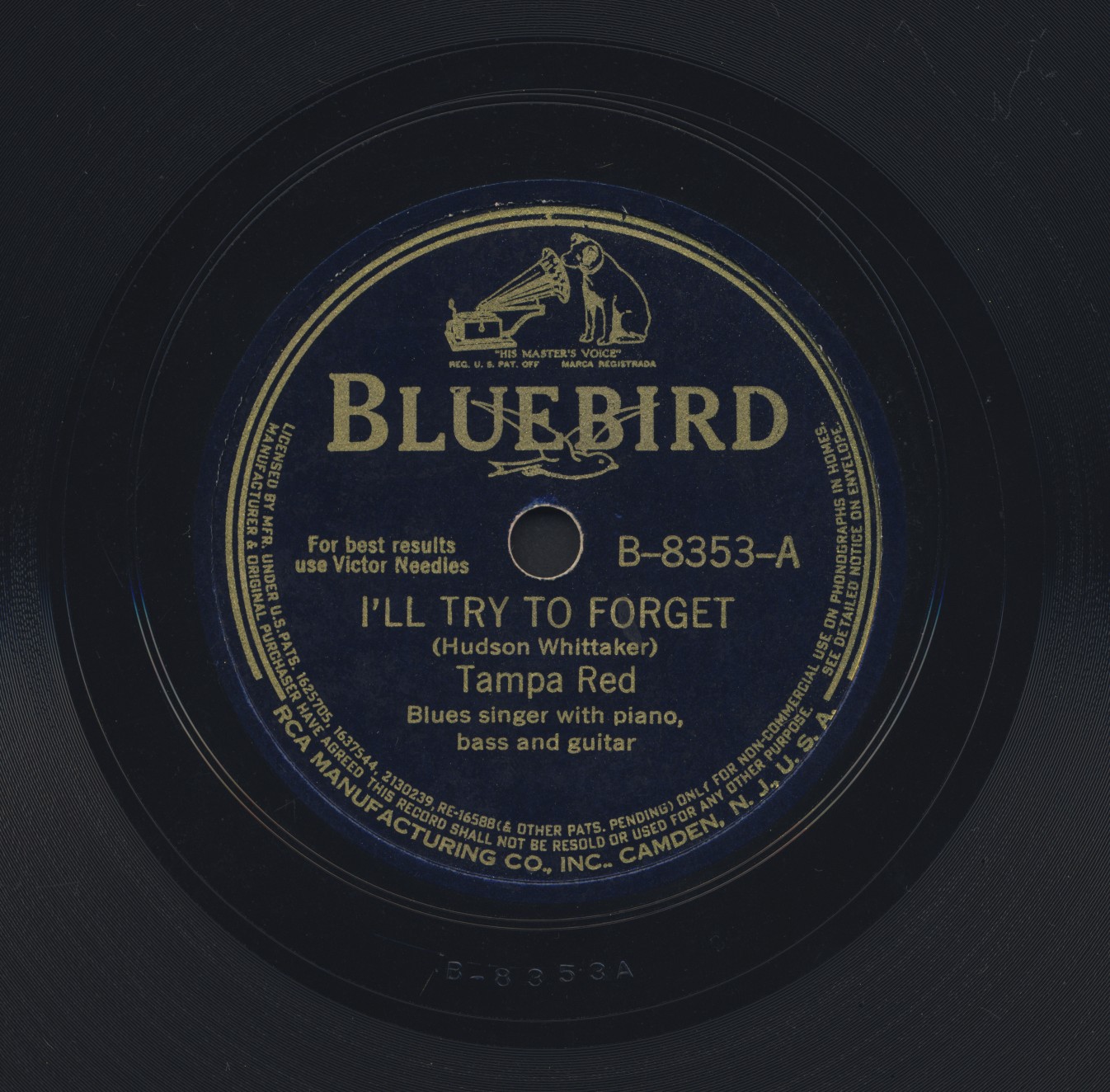 Bluebird8353A